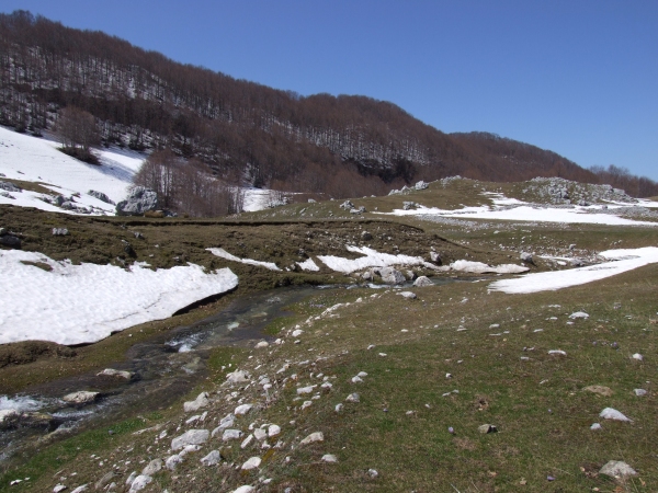 Pianoro di  Forestelle  a Picinisco